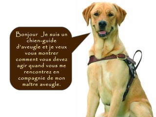Bonjour Je suis un
chien-guide
d’aveugle et je veux
vous montrer
comment vous devez
agir quand vous me
rencontrez en
compagnie de mon
maître aveugle.
 