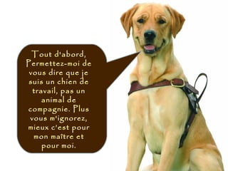Tout d'abord,
Permettez-moi de
vous dire que je
suis un chien de
travail, pas un
animal de
compagnie. Plus
vous m'ignorez,
mieux c’est pour
mon maître et
pour moi.
 