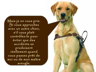 Mais je en vous prie.
Si vous approchez
avec un autre chien,
s'il vous plaît
contrôlez-le pour
éviter que des
accidents se
produisent
réellement quand
vous passez prêt de
moi ou de mon maître
aveugle.
 