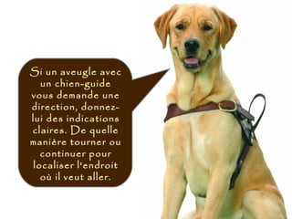 Si un aveugle avec
un chien-guide
vous demande une
direction, donnez-
lui des indications
claires. De quelle
manière tourner ou
continuer pour
localiser l'endroit
où il veut aller.
 