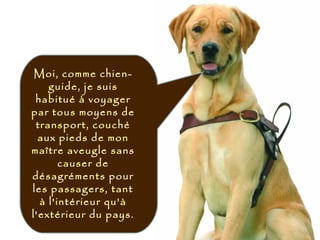 Moi, comme chien-
guide, je suis
habitué à voyager
par tous moyens de
transport, couché
aux pieds de mon
maître aveugle sans
causer de
désagréments pour
les passagers, tant
à l'intérieur qu'à
l'extérieur du pays.
 