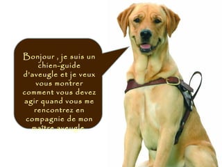 Bonjour , je suis un
chien-guide
d’aveugle et je veux
vous montrer
comment vous devez
agir quand vous me
rencontrez en
compagnie de mon
maître aveugle.
 