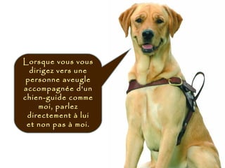 Lorsque vous vous
dirigez vers une
personne aveugle
accompagnée d'un
chien-guide comme
moi, parlez
directement à lui
et non pas à moi.
 