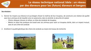 Ses missions :
1. Donner les moyens aux éleveurs et aux bergers d’avoir la maîtrise de leur troupeau, de construire une re...