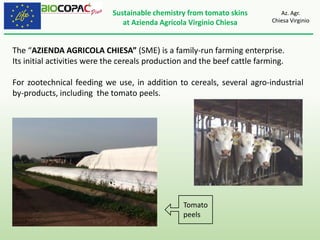 Sustainable chemistry from tomato skins
at Azienda Agricola Virginio Chiesa
Az. Agr.
Chiesa Virginio
The “AZIENDA AGRICOLA CHIESA” (SME) is a family-run farming enterprise.
Its initial activities were the cereals production and the beef cattle farming.
For zootechnical feeding we use, in addition to cereals, several agro-industrial
by-products, including the tomato peels.
Tomato
peels
 