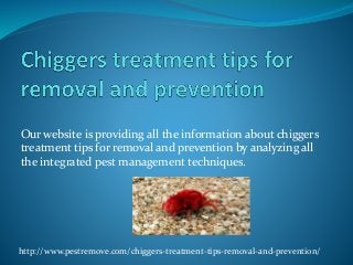 Our website is providing all the information about chiggers
treatment tips for removal and prevention by analyzing all
the integrated pest management techniques.
http://www.pestremove.com/chiggers-treatment-tips-removal-and-prevention/
 