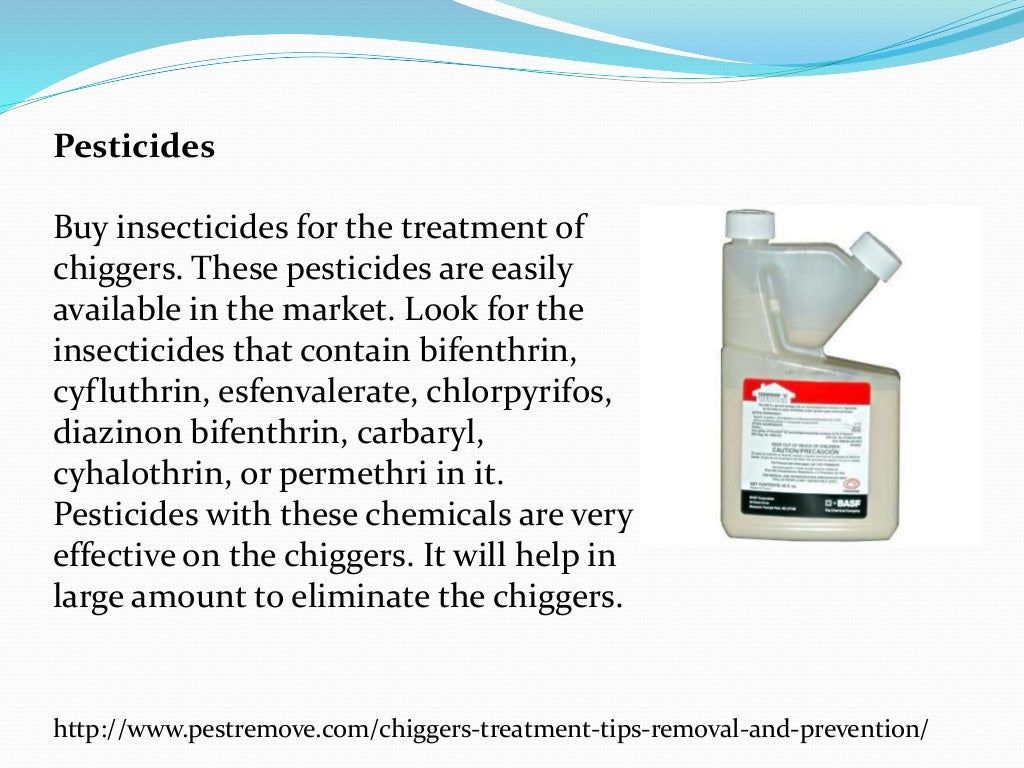 Chiggers treatment tips for removal and prevention
