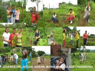  Las hermanas tienen interés de darle dinamismo a la catequesis e imprimirle novedad.