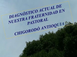 DIAGNÓSTICO ACTUAL DE NUESTRA FRATERNIDAD EN PASTORAL CHIGORODÓ ANTIOQUIA