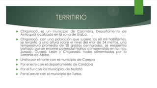 TERRITIRIO
   Chigorodó, es un municipio de Colombia, Departamento de
    Antioquia localizado en la zona de Urabá.
   Chigorodó, con una población que supera los 60 mil habitantes,
    se levanta a una altura sobre el nivel del mar de 34 metros, una
    temperatura promedio de 28 grados centígrados, se encuentra
    bañado por un enorme potencial hídrico comprendido en los ríos:
    Juradó, Guapá, León y Chigorodó, todos alimentados por la
    Serranía de Abibe.
   Limita por el norte con el municipio de Carepa
   Por el este con el departamento de Córdoba
   Por el Sur con los municipios de Mutatá
   Por el oeste con el municipio de Turbo.
 