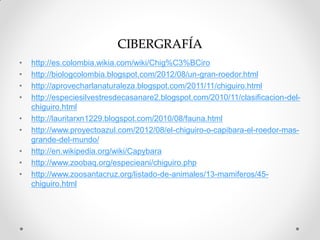 CIBERGRAFÍA
• http://es.colombia.wikia.com/wiki/Chig%C3%BCiro
• http://biologcolombia.blogspot.com/2012/08/un-gran-roedor....