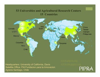 IP Management Strategies in Public Research Institutions