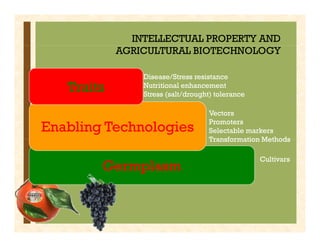 IP Management Strategies in Public Research Institutions