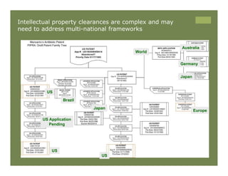IP Management Strategies in Public Research Institutions