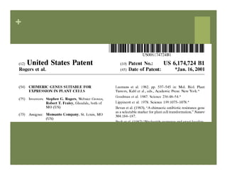 IP Management Strategies in Public Research Institutions