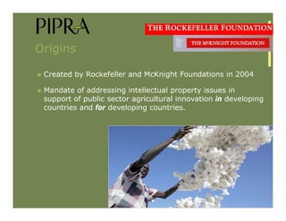 IP Management Strategies in Public Research Institutions