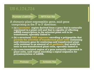 IP Management Strategies in Public Research Institutions