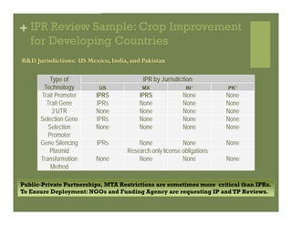 IP Management Strategies in Public Research Institutions