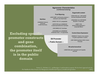 IP Management Strategies in Public Research Institutions