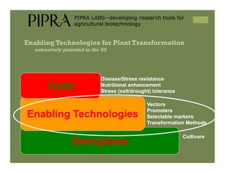 IP Management Strategies in Public Research Institutions