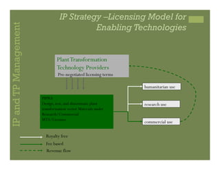 IP Management Strategies in Public Research Institutions