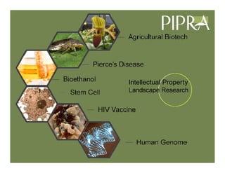 IP Management Strategies in Public Research Institutions
