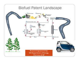 IP Management Strategies in Public Research Institutions