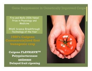 IP Management Strategies in Public Research Institutions