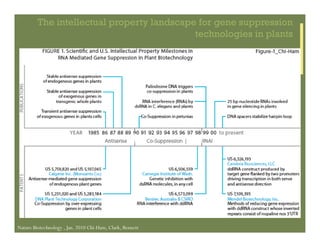 IP Management Strategies in Public Research Institutions