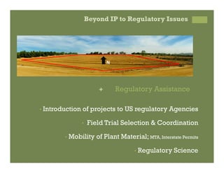 IP Management Strategies in Public Research Institutions