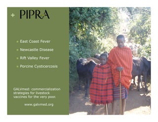 IP Management Strategies in Public Research Institutions