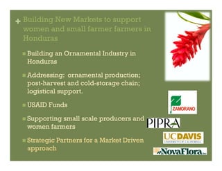 IP Management Strategies in Public Research Institutions