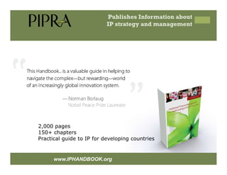 IP Management Strategies in Public Research Institutions