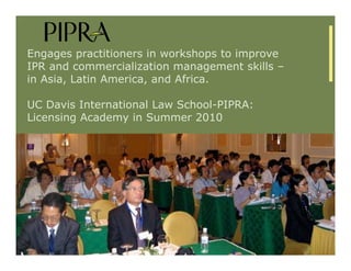 IP Management Strategies in Public Research Institutions