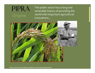 IP Management Strategies in Public Research Institutions