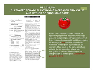 IP Management Strategies in Public Research Institutions