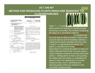 IP Management Strategies in Public Research Institutions