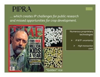 IP Management Strategies in Public Research Institutions