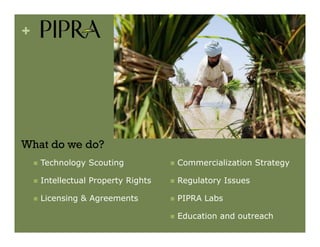 IP Management Strategies in Public Research Institutions