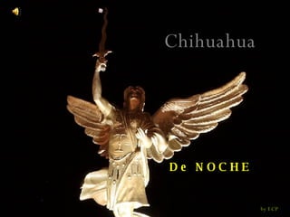 Chihuahua De NOCHE by ECP 