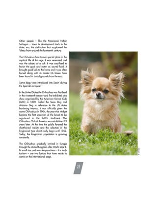Chihuahua History Pdf