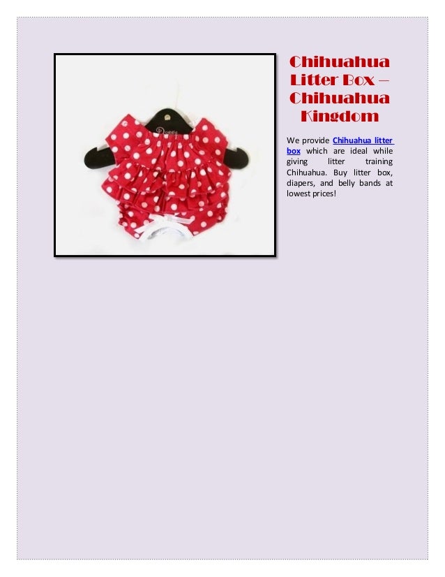 chihuahua litter box