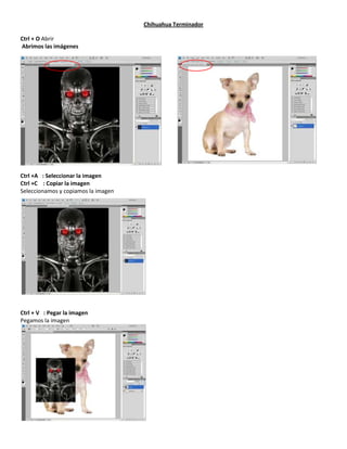 Chihuahua Terminador

Ctrl + O Abrir
Abrimos las imágenes




Ctrl +A : Seleccionar la imagen
Ctrl +C : Copiar la imagen
Seleccionamos y copiamos la imagen




Ctrl + V : Pegar la imagen
Pegamos la imagen
 
