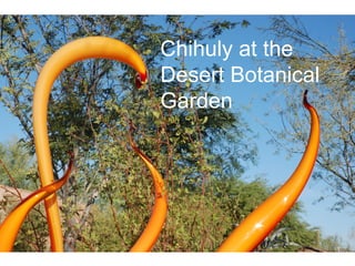Chihuly at the Desert Botanical Garden 