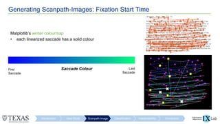 Generating Scanpath-Images: Fixation Start Time
Introduction User Study Scanpath Image Classification Interpretability Conclusion
First
Saccade
Last
Saccade
Matplotlib’s winter colourmap
• each linearized saccade has a solid colour
Saccade Colour
 