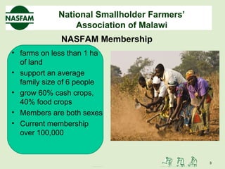 Chikapula nasfam malawi | PPT