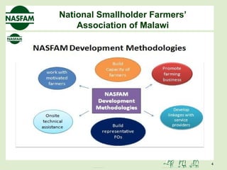 Chikapula nasfam malawi | PPT