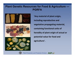 Plant Genetic Resources for Food and Agriculture: A Commons Perspective