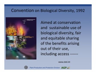 Plant Genetic Resources for Food and Agriculture: A Commons Perspective