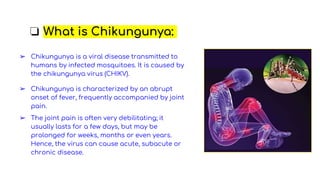 ➢ Chikungunya is characterized by an abrupt
onset of fever, frequently accompanied by joint
pain.
➢ Chikungunya is a viral disease transmitted to
humans by infected mosquitoes. It is caused by
the chikungunya virus (CHIKV).
➢ The joint pain is often very debilitating; it
usually lasts for a few days, but may be
prolonged for weeks, months or even years.
Hence, the virus can cause acute, subacute or
chronic disease.
❏ What is Chikungunya:
 